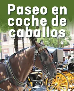 Esencia de Sevilla en Coche de Caballos