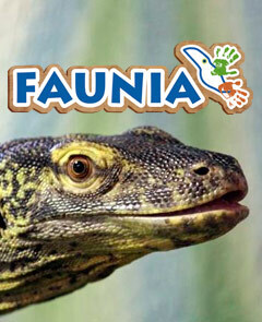 Faunia school groups