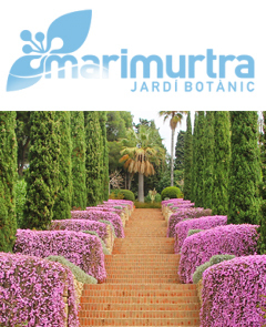 Marimurtra Jardí Botànic 