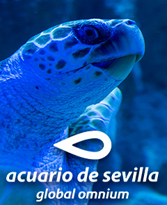 Entrada al Acuario de Sevilla