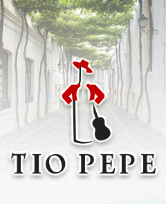 Visita Bodegas Tío Pepe en Jerez