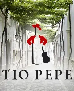 Visita Bodegas Tío Pepe en Jerez