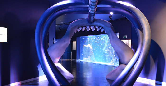 Atlantis Aquarium Madrid