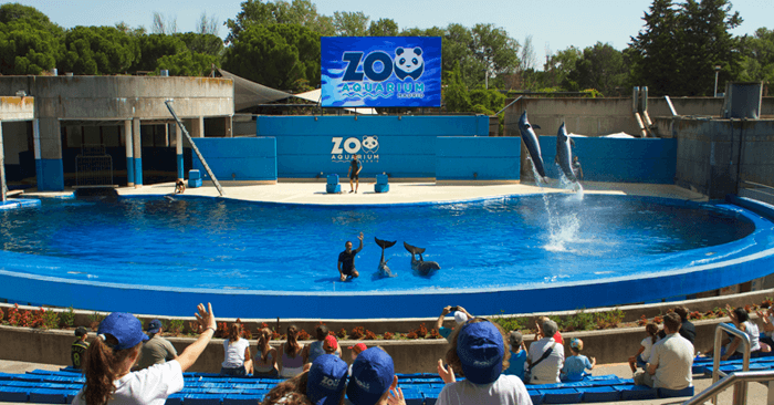 Zoo-Aquarium de Madrid